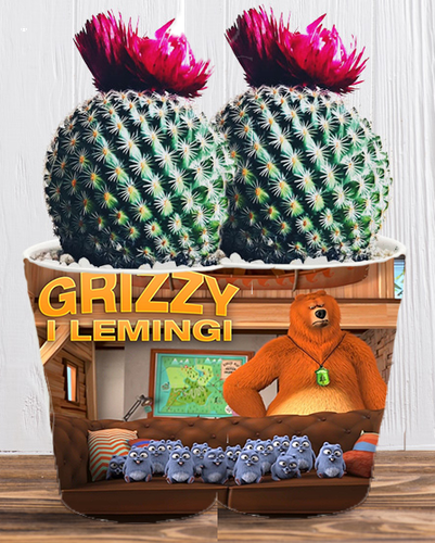 Doniczka do kwiatów/roślin - Grizzy i Lemingi na Arena.pl