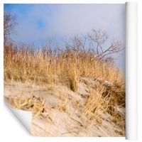 Fototapeta PLAŻA Piasek Krajobraz do Salonu 3D 315x210