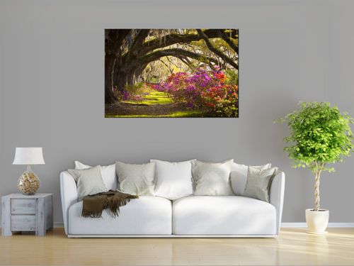 Obraz drukowany na płótnie canvas 120x80 + GRATIS na Arena.pl