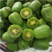 Actinidia ISSAI mini KIWI SAMOPYLNA doniczka WIT C sadzonka DONICZKA