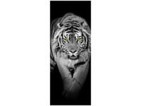 product-compare-58646482