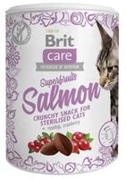 BRIT przysmak kot SNACK SUPERFRUITS SALMON 100g