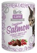 BRIT przysmak kot SNACK SUPERFRUITS SALMON 100g