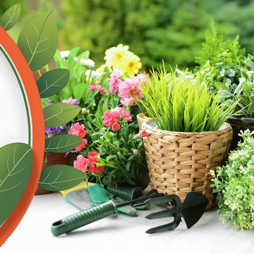 Aktywator roślin doniczkowych Nawóz wieloskładnikowy 25g BIOEXPERT na Arena.pl