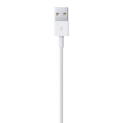 Lightning to USB Cable (2 m) na Arena.pl