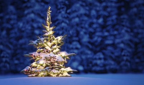 STOJAK CHOINKOWY DO CHOINKI POD CHOINKĘ 10L na Arena.pl