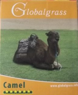 TRAWA SPORTOWA CAMEL Na Suszę 5 KG+1kg gratis=6 kg