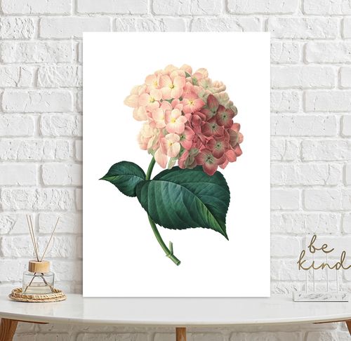 Plakat hortensja vintage 30x40 cm na Arena.pl
