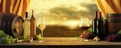 FOTOTAPETA kuchenna WINO WINOGRON BUTELKI 395x280