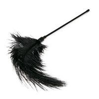 pejcz-black feather tickler