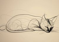 product-compare-59395731