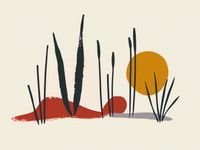 Plakat 20x15cm Trzcina przy Zachodzie