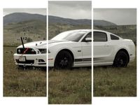 90CM 70 ZEGAR 3 ELEM MUSTANG GT V8 BRETT LEVIN SCIENNY DRUK