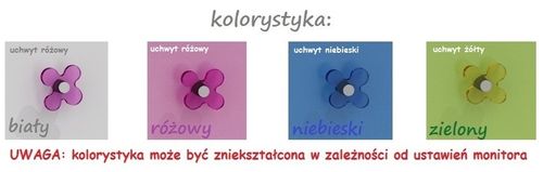 biurko do pokoju dziecka MAJA NB10N biurko dla dzieci 100x50 w.74 na Arena.pl