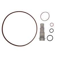 Zestaw uszczelek do filtrów piaskowych AVENLI 290729 i 29730