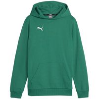 Bluza Puma Team Goal Casuals Hoddy Jr 658619 05 128cm