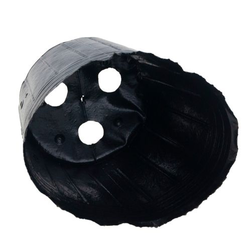 DONICZKI PRODUKCYJNE DO ROZSAD UPRAW WYSIEWU SADZONKI 10SZT/KPL 15X10X na Arena.pl