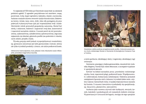 Pierwsze królestwo. Mocarstwo Bolesława Chrobrego na Arena.pl