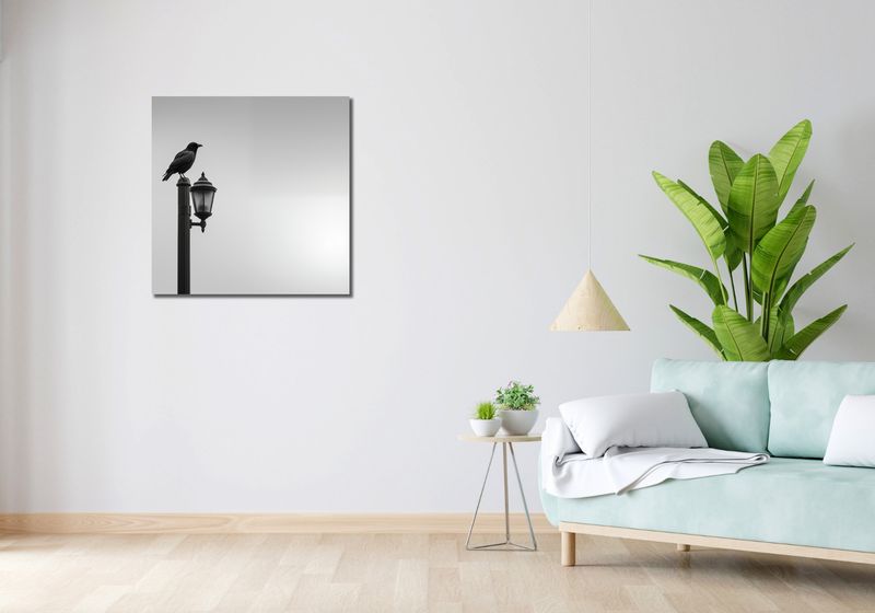 Obraz 70x70cm Samotny Postój Kruka zdjęcie 2