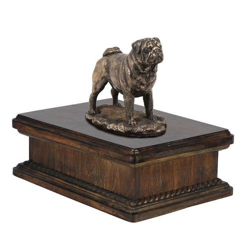 Mops- eksluzywna urna na Arena.pl