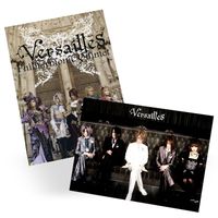 Plakat A3 Versailles DO WYBORU