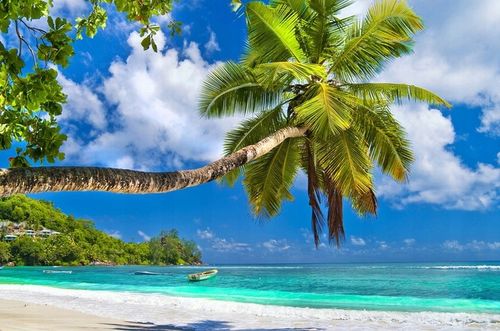 CALVIN KLEIN CK BE EDT Woda Toaletowa U 200 ml na Arena.pl