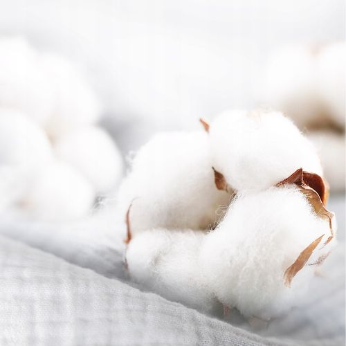 Plumeri Pieluszki muślinowe zestaw kolorów 10 szt. 50x30 cm na Arena.pl