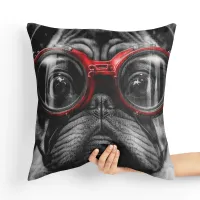 Poduszka z psem - Stylowy Psi Geniusz Tył poduszki: - Czerwony