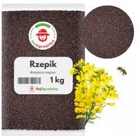 RZEPIK NASIONA NA POPLON dla ślimaków PTAKÓW zanęta 1 KG RajOgrodnika