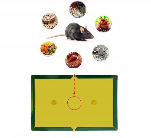 ŁAPKA NA MYSZY PUŁAPKA LEP NA MYSZY MYSZOŁAPKA ŁAPKA NA SZCZURY na Arena.pl