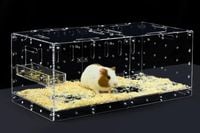 Klatka dla chomika akrylowa przezroczysta wysuwana DIY szklana 360 70cm