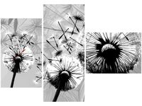 product-compare-58641378