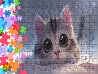 Puzzle tradycyjne Zwierzęta - Kot
