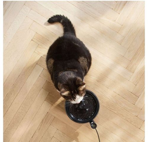 FONTANNA DLA ZWIERZĄT PHILIPS PAW3210/02 POIDEŁKO AUTOMATYCZNE Z na Arena.pl