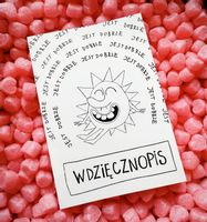 Dziennik Wdzięczności Wdzięcznopis – Przyjazny dziennik terapeutyczny A5