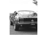 40X50CM CLASSIC MUSTANG 55LANEY69 OBRAZ