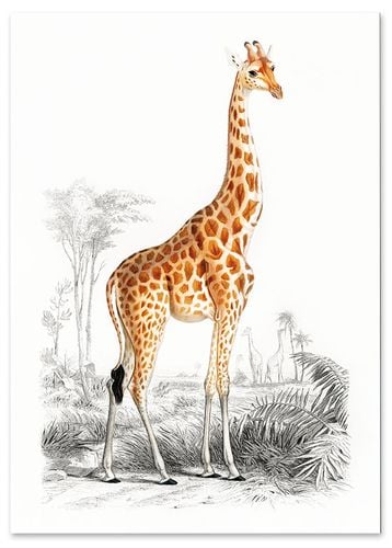 Plakat żyrafa ilustracja 21x29,7 cm A4 na Arena.pl
