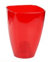 osłonka do storczyka 12 cm transparentna czerwona