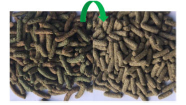 versele-laga cuni adult complete 1,75kg na Arena.pl