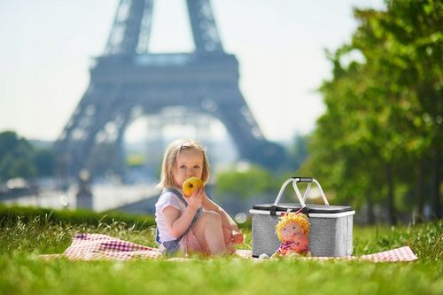 Kosz piknikowy termiczny koszyk składany biwakowy zakupy prezent ZAGATTO na Arena.pl