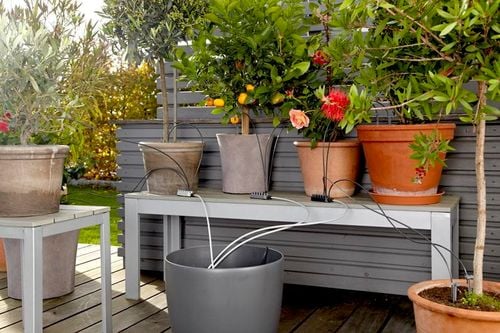 automatyczna konewka - hg-01265-20 na Arena.pl