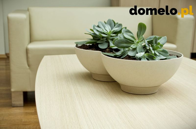 DONICZKA PLANET 440 A3 zdjęcie 5