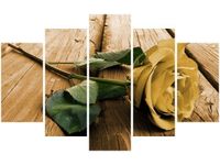 70 100CM OBRAZ 5 ELEM CIEKAWA RÓŻA DRUK PŁÓTNO