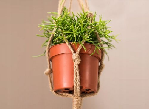 Lina jutowa naturalna żeglarska sznur 18mm 50m na Arena.pl