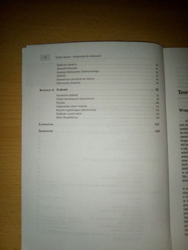 Teoria chaosu dla odważnych Michał Tempczyk na Arena.pl