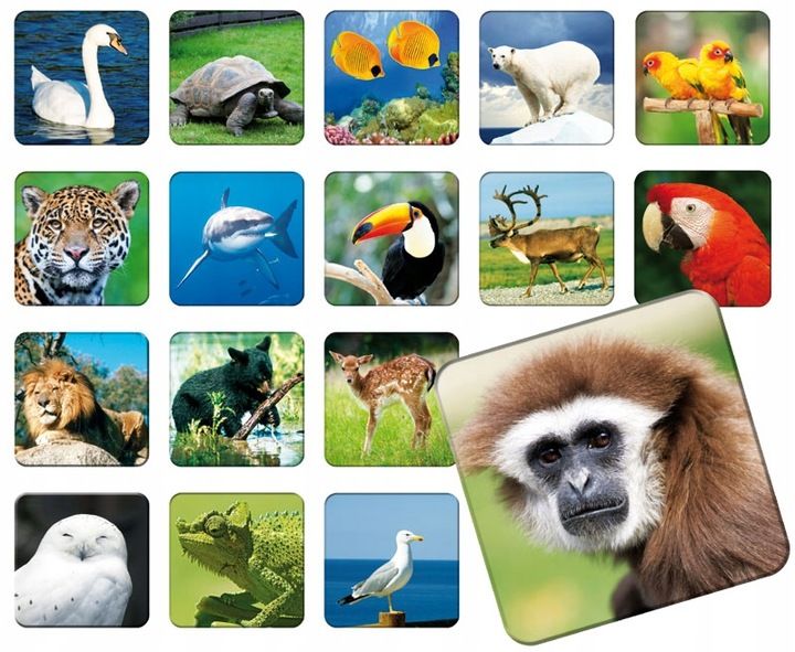 GRA MEMORY MEMO ZWIERZAKI gra pamięciowa ze zwierzątkami dla dzieci +3 lata zdjęcie 2