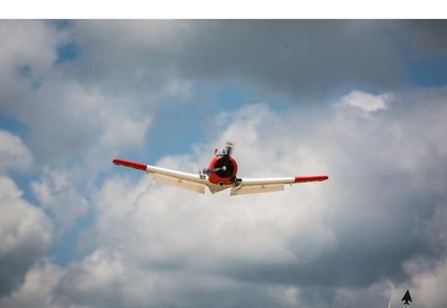 T-28 Trojan 1.2m BNF Basic na Arena.pl