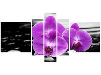 product-compare-58698470