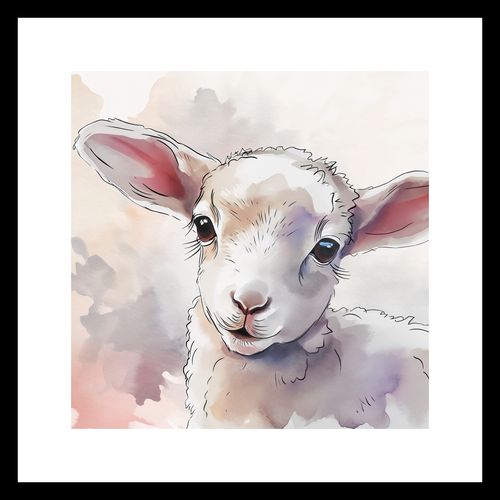 Plakat 30x30cm Mała Owieczka na Arena.pl