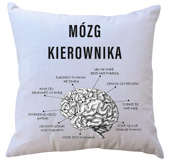 Poduszka Mózg Kierownika zdjęcie 1
